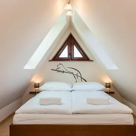 Udanypobyt Przy Polanie Apartment *