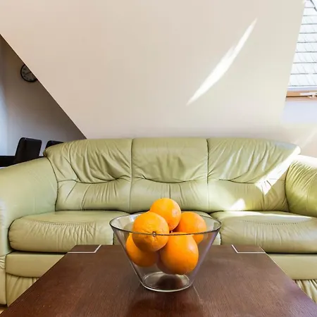 Udanypobyt Przy Polanie Apartment *